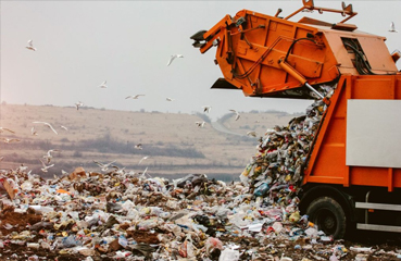 Landfill and Waste Management Companies